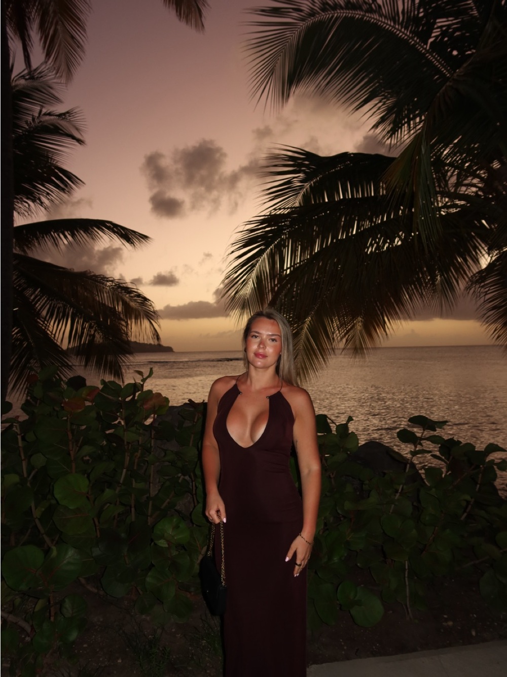 White Fox Boutique Brown Halter Maxi Dress